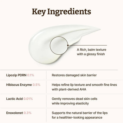 💋 Rejuvenating Lip Serum – Hydrating, Smoothing & Dewy Lip Care with Hibiscus + Lactic Acid ✨